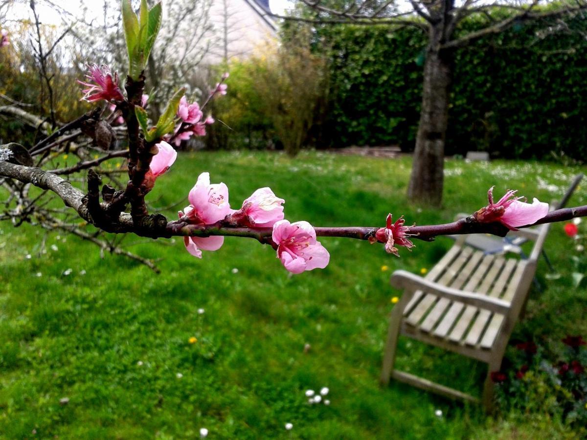 Bed and Breakfast Maison La Chapelle Exteriér fotografie